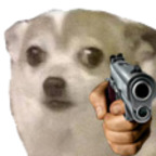 memes4free OnlyFans Leaks 

 profile picture