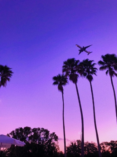 Miami Hensley @miamihensley cover picture
