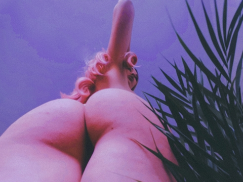 🦋 Mia White 🦋 @miawhiite cover picture