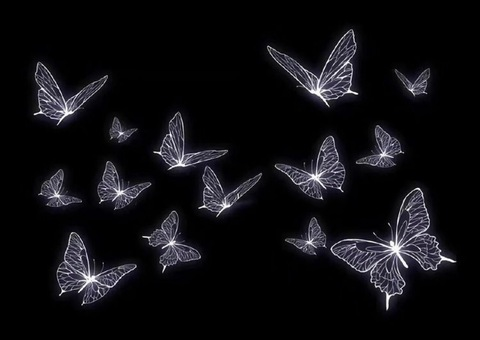 micaela @micaela.xx cover picture