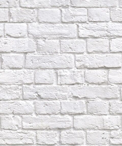 Michelle @michellesthiccc cover picture