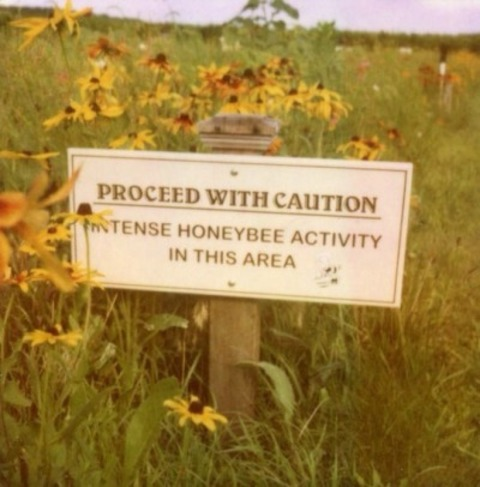 MichiganHoney @michiganhoney cover picture