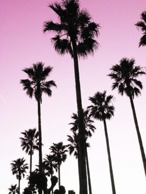 Micky Strumia @mickystrumia cover picture