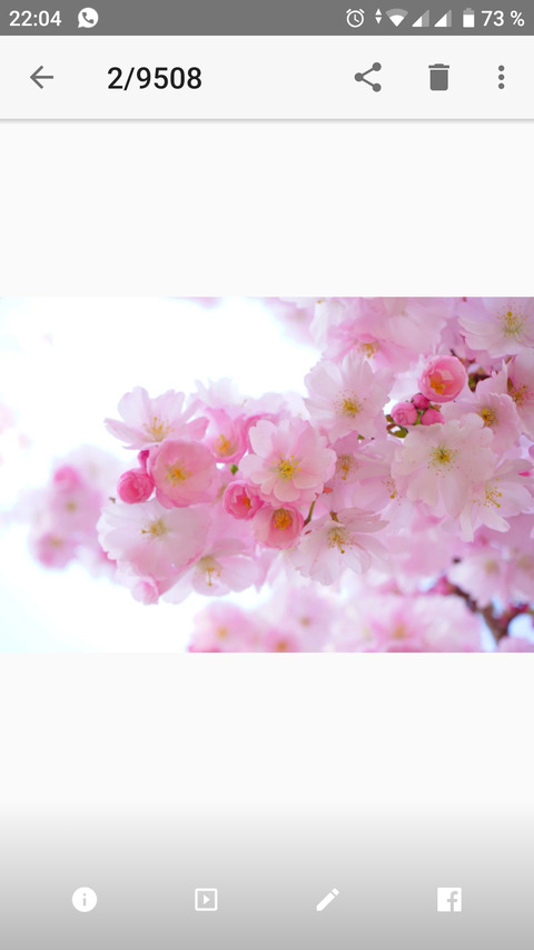 Miss Appleeee @missappleeee cover picture