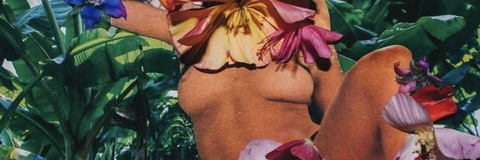 moana_lisa @moana_lisa cover picture