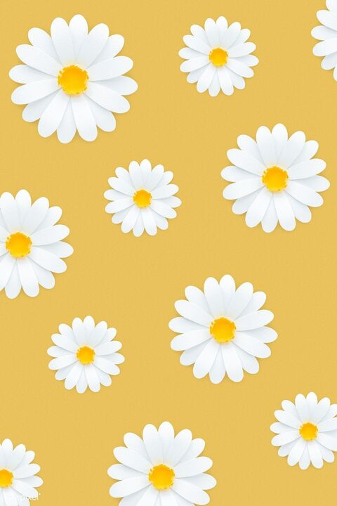 Monica @monicamo cover picture