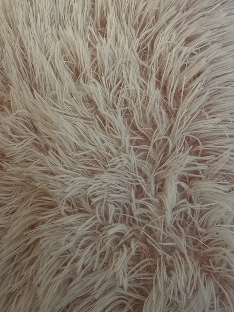 Annabella @ms_annabella cover picture