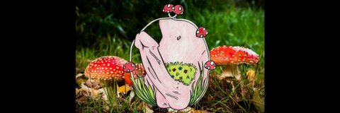 Lily 🍄 @mushroombuddy cover picture