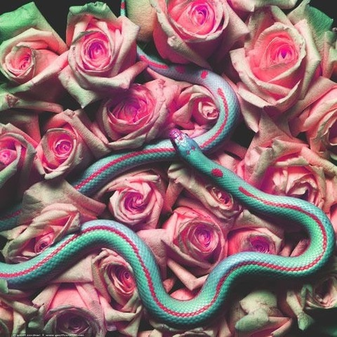 MyaMonroe666 @mya666monroe cover picture