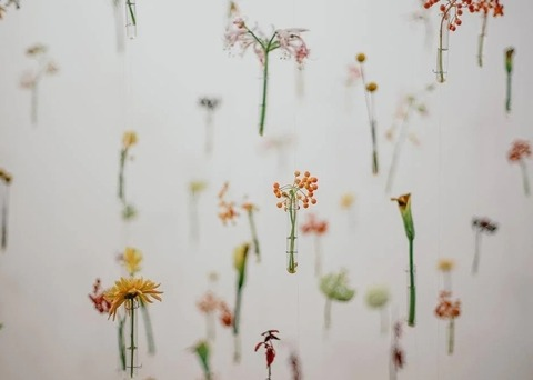 Botanical babe 🌾 @myrta cover picture
