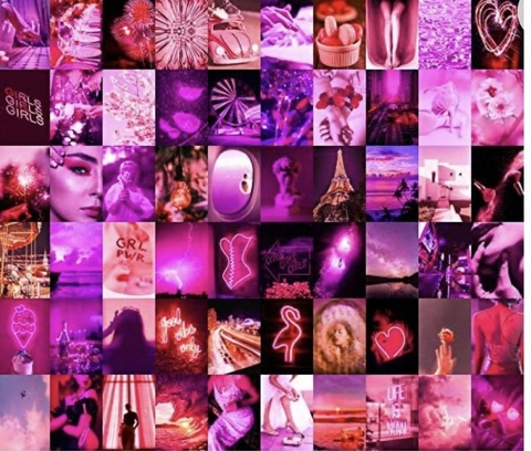 Nala @nalathelion cover picture