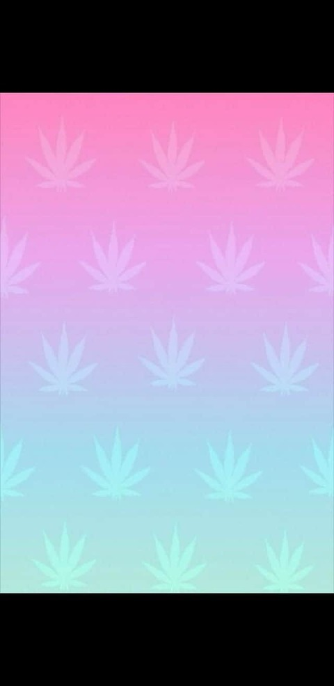 420 m!lfkitten @native.420.kitten cover picture