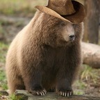 Enbie @nbhoe Leaked OnlyFans 

 profile picture