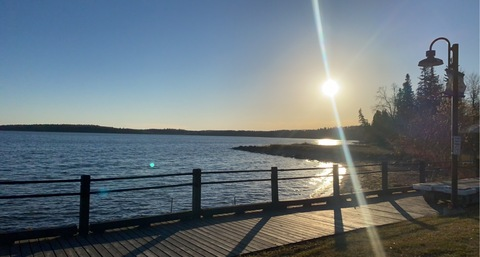 Newfie88 @newife88 cover picture