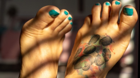 Nici’s Feetish @nicifeetish cover picture