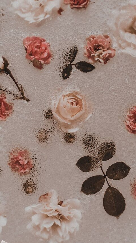 𝓝𝓲𝓴𝓲 🖤 @nicoleniki cover picture