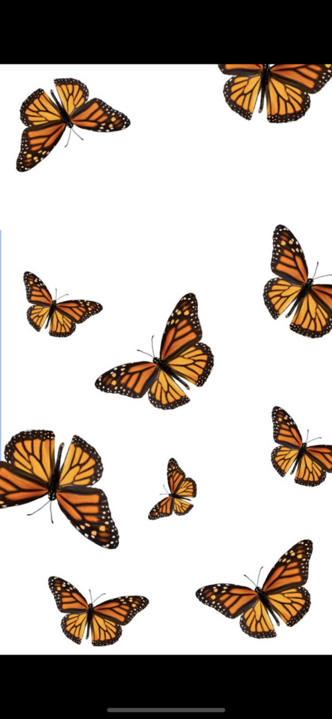 Ninna @ninnabby cover picture