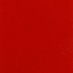 Download notshotty OnlyFans content for free 

 profile picture