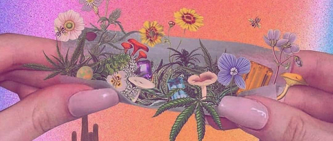Violet Vi @only_violet_vi cover picture