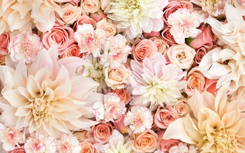 Empress Lucy @onlyempresslucy cover picture