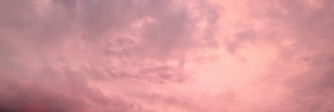 guppy 😌 @onlyguppy cover picture