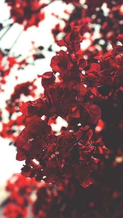 Ophelia @ophelia.beauty cover picture