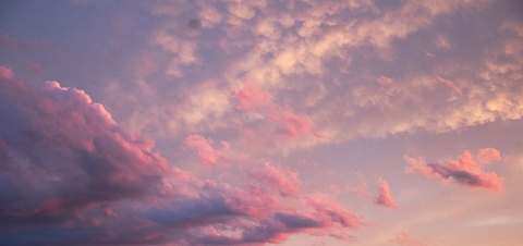 Öykü Pembe @oyku.pembe cover picture