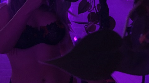 pam @pamsecretplace cover picture