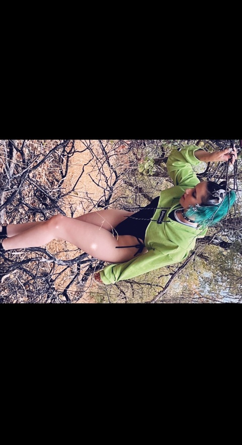 Pup Mint @pawpermint.pup cover picture