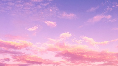 T H E  P E A C H  P I T 🍑 @peach-pit cover picture