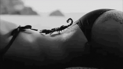 🍬🍬 @peacockkhaleesi cover picture