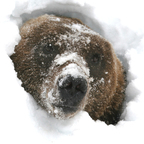 Download periscope OnlyFans content for free 

 profile picture