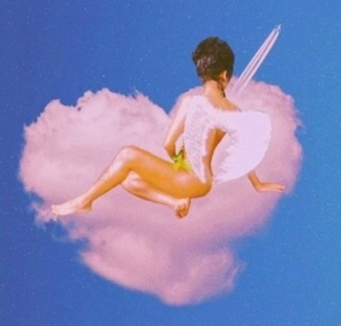 stonedbrunette @phoenix222 cover picture