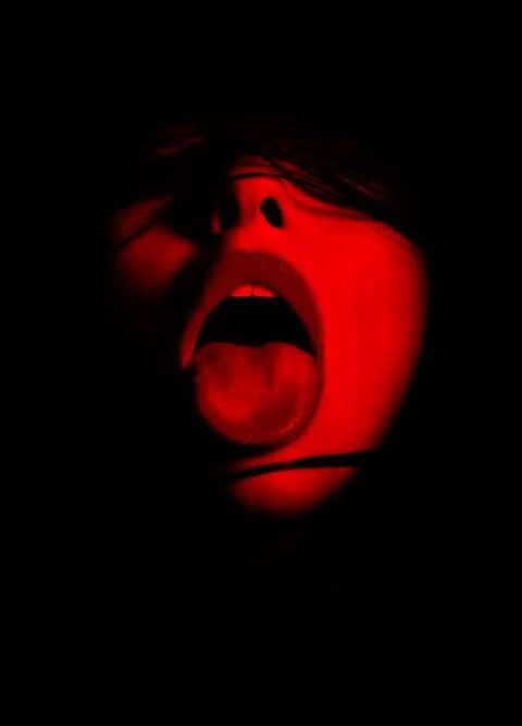Miss Piggy @piggyqueenlove cover picture