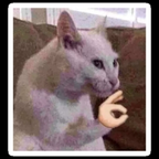 pinacolada OnlyFans Leaks 

 profile picture