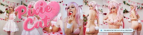 Pixiecat @pixiecat cover picture