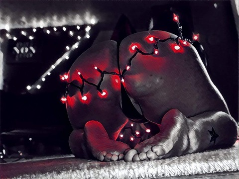 Pixieee @pixiethicc13 cover picture
