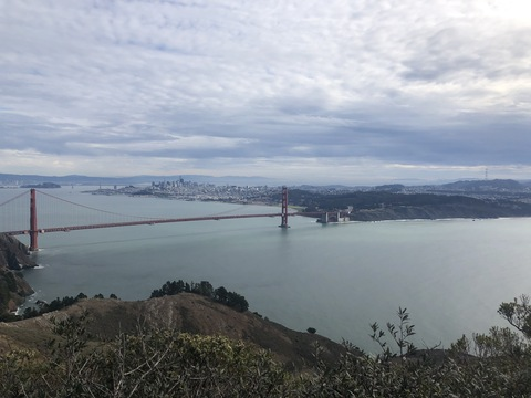 PlantDaddy_SF @plantdaddy_sf cover picture