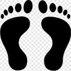 playfootsiewme OnlyFans Leaked Photos and Videos 

 profile picture