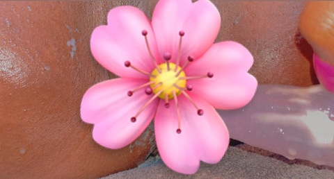 Cute pink pussy @pocketfullofsunshine26 cover picture