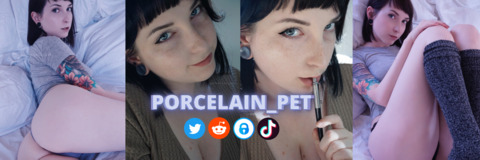 Laura @porcelain_pet cover picture