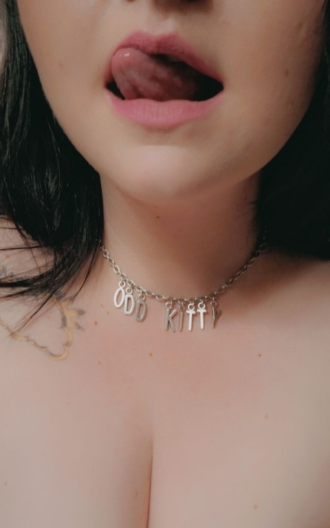 Odd Kitty @pretty.odd.kitty cover picture