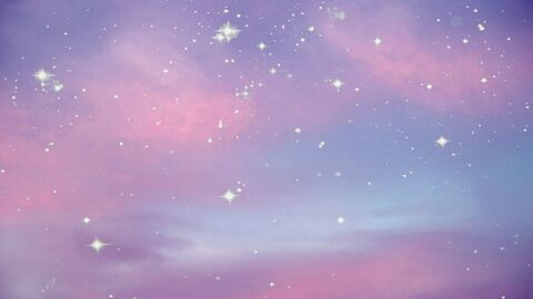 Prince @prince-puppy cover picture
