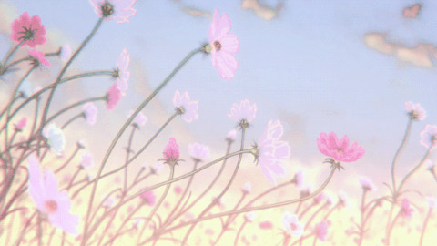 princessmint @princessmint cover picture
