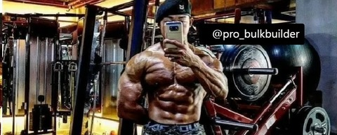 pro_bulkbuilder @pro_bulkbuilder cover picture