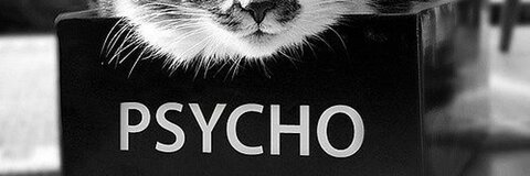 Psychokitty0415 @psychokitty0415 cover picture
