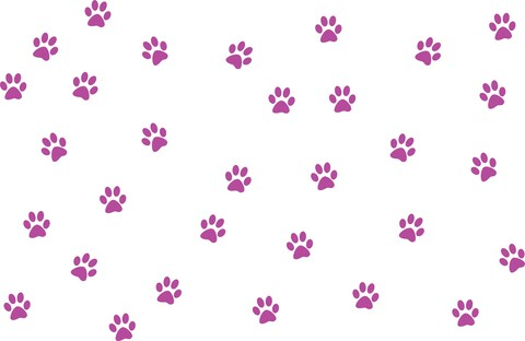purple cats @purplecats cover picture