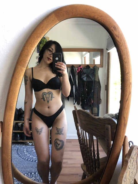 Willow @pussywilllow cover picture