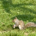 quest2brolln2d OnlyFans Leaks 

 profile picture