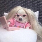 Soph rachxl Leaks OnlyFans 

 profile picture